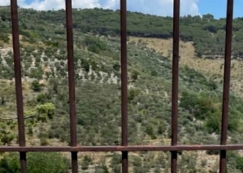 Fotografare … dar voce al cuore