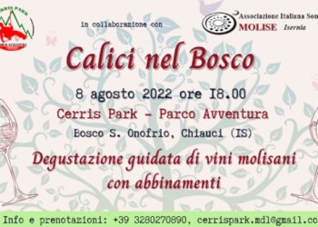Calici nel Bosco, degustazione guidata  di vini molisani con abbinamenti