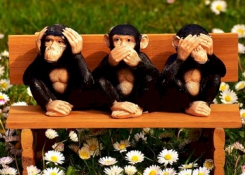 IO NON VEDO, NON SENTO, NON PARLO