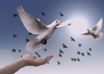 Ma chi vuole veramente la pace?