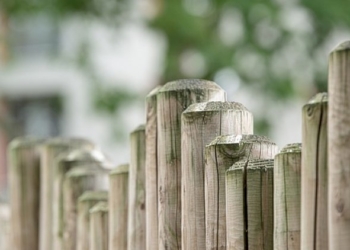 Soffia, sempre più forte, il vento dell’irrazionalità