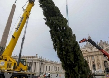 Ecologia e abusi, se non ora quando dai proclami ai fatti concreti?