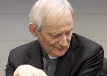 Abusi clericali e pedofilia nella Chiesa, nel report non c’è traccia di giustizia per le vittime ma di insabbiamento