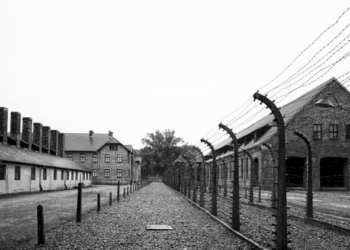 NEL GIORNO DELLA MEMORIA