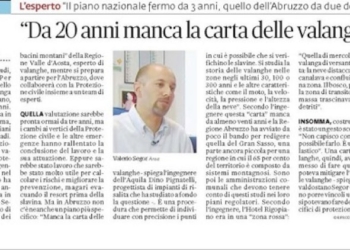 Non è Stato mai