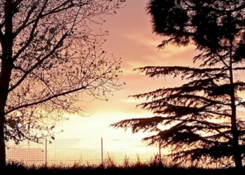 Come posso rivelare una così grande bellezza