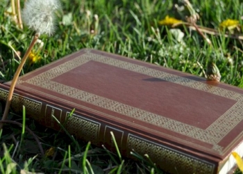 Etica pubblica e Questione morale