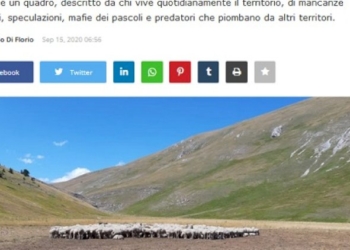 Mafie dei pascoli, incendi, silenzi e complicità sulla costa su mafiosi e familiari presenti