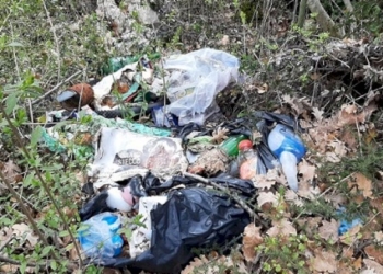 Siete peggio della monnezza che buttate per strada