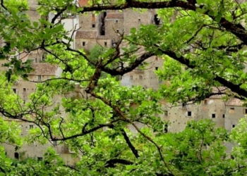 RIFLESSIONI PER UN CAMBIAMENTO POSITIVO