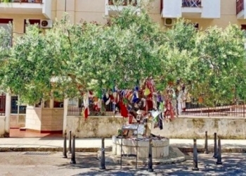 Borsellino: «il sogno può diventare realtà»