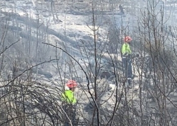 Sei anni dopo un nuovo incendio lì dove incombe il peso della «mafia dei pascoli»