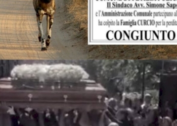 CARTA CANTA. Il rap del vice-sindaco di Petilia Policastro: «Già sta sciacallando abbastanza…»