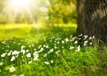La natura