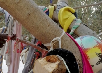 Borsellino: “Questa è una immagine che non avrei mai voluto vedere, un ramo dell’albero di Via D’Amelio piegato e spezzato.”