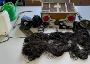 Rubavano cardellini: arrestati in flagranza di reato