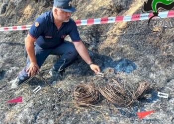 Incendio boschivo colposo in concorso