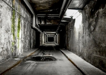 Un progressivo  arretramento antropologico e culturale