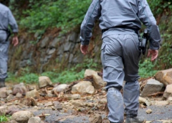 Il concorso per 46 agenti forestali in Sicilia è stato annullato