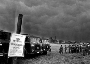 Stabilimenti a rischio incidente rilevante, cosa prevede la legge