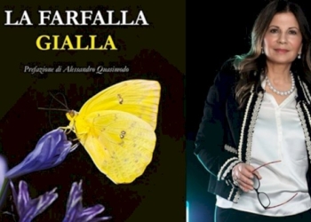 La farfalla gialla