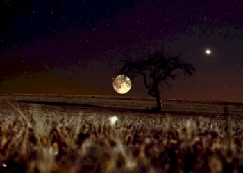 Il Viaggio Magico di Luca e la Luna Luminosa