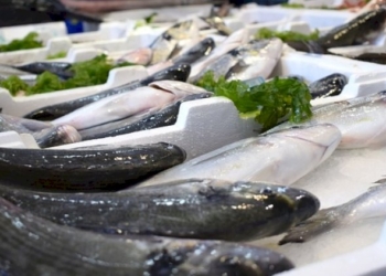 Spigola al Limone e Erbe Aromatiche