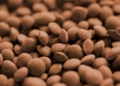 Zuppa di lenticchie molisana