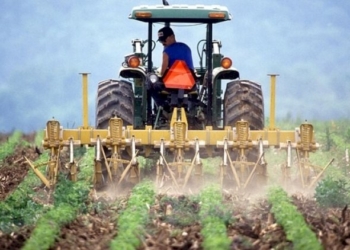 Considerazioni in libertà sulla protesta degli agricoltori
