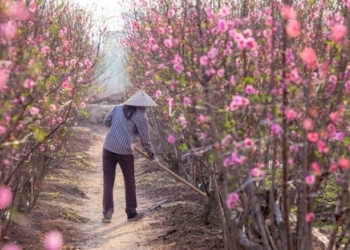 Una mattina un fiorista andò dal barbiere per un taglio di capelli…