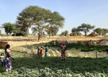 Sostenibilità: una sfida per il cambiamento agroecologico con il progetto CHAlleNGE