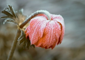 Il gelo che avvolge l’anima