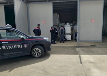Fitofarmaci illegali, sequestro per 220mila euro