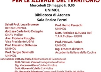 Il regolamento europeo in materia di etichettatura dei vini: aggiornamenti e ricadute per le aziende del territorio