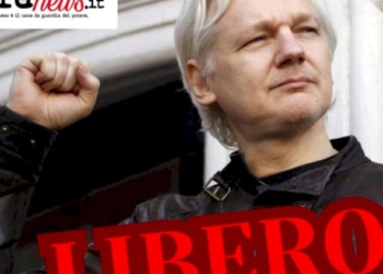 Julian Assange è libero