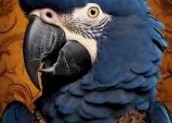 Penna blu piccola storia buffa di Lorenzo Marone