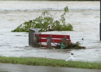 «L’Emilia Romagna sta rivivendo l’incubo delle alluvioni causate dalla pioggia incessante»