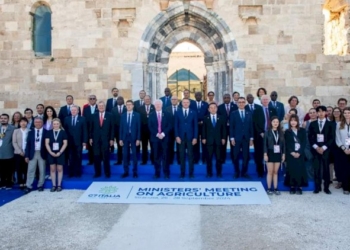 Bisogna mitigare gli effetti della crisi climatica, investire sui giovani e rafforzare la cooperazione con l’Africa