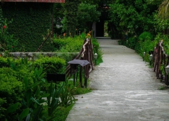 Art Regeneration per Metropoli più green