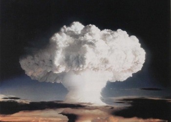 Considerazioni in libertà