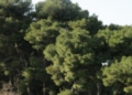 Un’oasi verde da scoprire