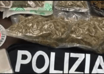 Brescia: operazione contro il traffico internazionale di droga, 12 arresti