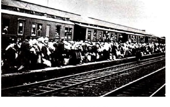 «Occasione per commemorare chi dalla bandiera e dalla Patria non ha ricevuto alcuna difesa nel momento più buio»