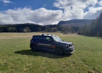 Giornata Internazionale delle Foreste: i carabinieri Forestali celebrano la natura a Montedimezzo (IS)