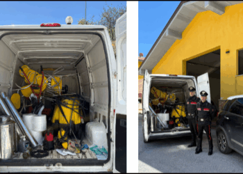 Furto su commissione lungo la SP 86: arrestato un cittadino rumeno, un complice in fuga tra le campagne dell’Alto Molise