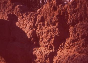 “Di fuga in fuga” di Claudio Calabrese: l’ingiusta storia di Rayan