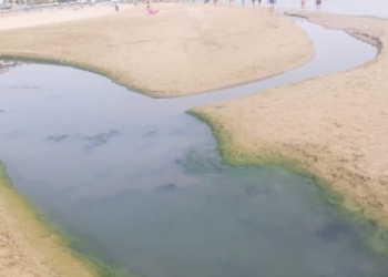 Inaugurato il canile, quando gli allacci? Finalmente la fognatura al carcere? A Fosso Marino valori fuori norma di oltre sette volte per un giorno