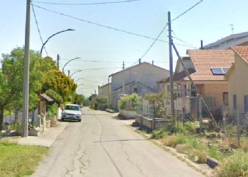 Gatti massacrati a morte a Casalbordino