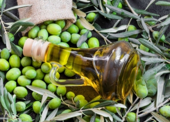 Alla 282ª Fiera d’Ottobre di Larino la presentazione di HEVON, il progetto europeo che valorizza l’olio extravergine d’oliva