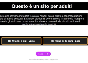 Un esercito di paladini dell’industria dello stupro